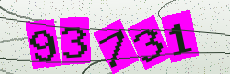 Security code image