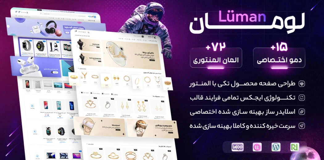 WordPress store theme