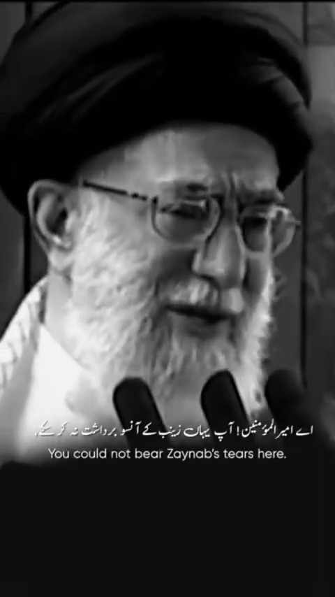 Amīr-ul-Momineen (a.s.)