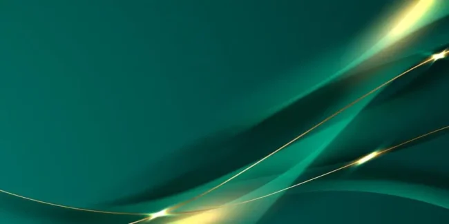 Vector graphic code 5